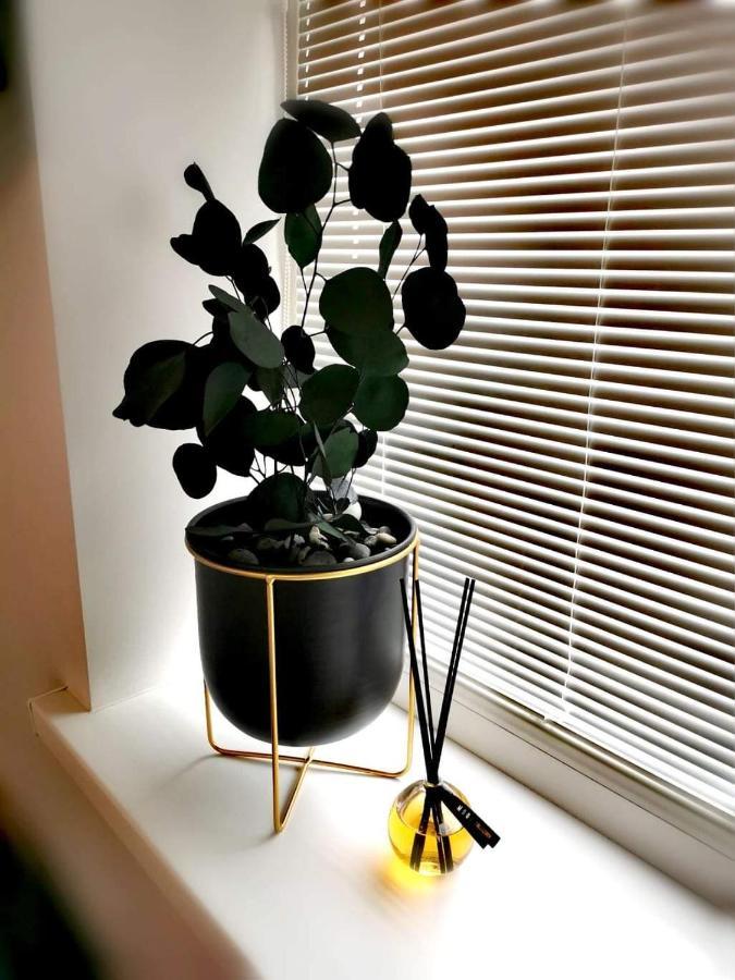 Vyturiai - Nauju Apartamentu Nuoma Sventojoje ซเวนตายิ ภายนอก รูปภาพ